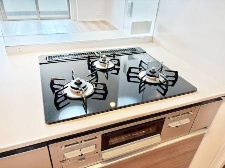 ���̑����� �K�X�R�����͂r���Z���T�[���ځB�Η͒��߂�ł��t���E�����Y����h���ł���܂��B