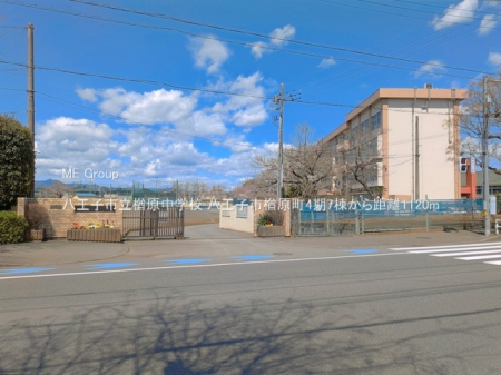 ���ӊ� ���w�Z 1120m �����q�s���茴���w�Z