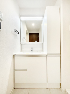���ʑ�E���ʏ� �X�^�C�����O�ɕ֗��ȎO�ʋ��A�~���[�L���r�l�b�g�ōׂ������X�b�L��