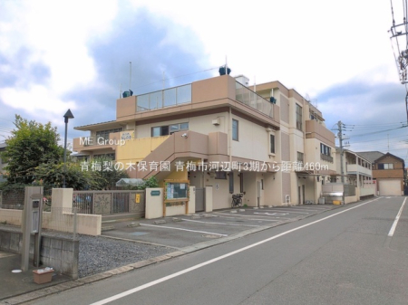 ���ӊ� �c�t���E�ۈ牀 460m �~���̖ؕۈ牀