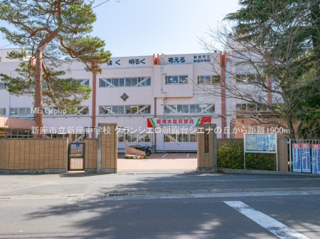���ӊ� ���w�Z 1900m �V���s���V�����w�Z