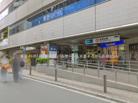 ���ӊ� �w 800m �������g���u䪉גJ�v�w