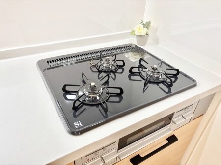 ���̑����� �K�X�R�����͂r���Z���T�[���ځB�Η͒��߂�ł��t���E�����Y����h���ł���܂��B