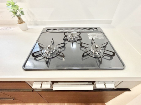 ���̑����� �K�X�R�����͂r���Z���T�[���ځB�Η͒��߂�ł��t���E�����Y����h���ł���܂��B