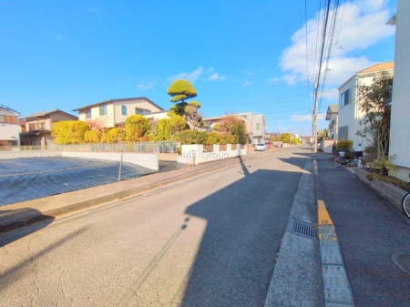 ���n�y�n�ʐ^ -
