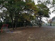 ���ӊ� ���� 30m ���̐X�����V���n