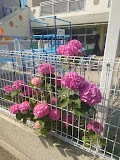 ���ӊ� �c�t���E�ۈ牀 350m �쒷����ۈ牀