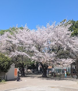 ���ӊ� ���� 210m �Ŗ�������