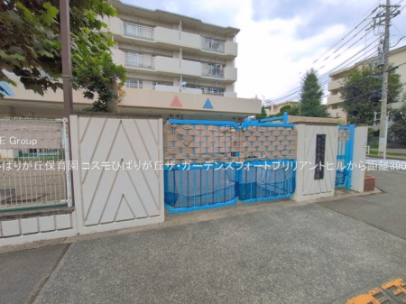 ���ӊ� �c�t���E�ۈ牀 390m �Ђ΂肪�u�ۈ牀