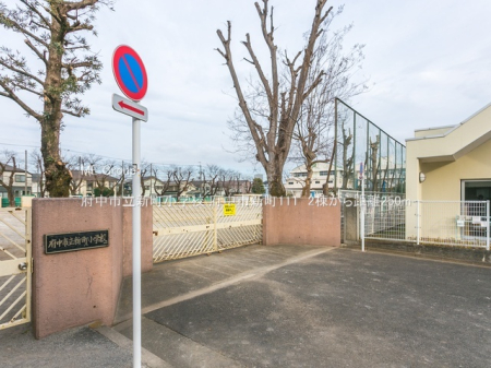 ���ӊ� ���w�Z 250m �{���s���V�����w�Z