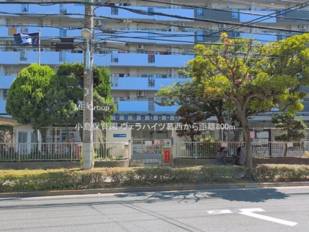 ���ӊ� �c�t���E�ۈ牀 800m �����ۈ牀