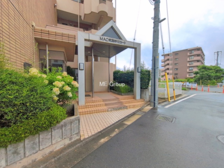 �G���g�����X -