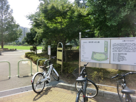 ���ӊ� ���� 550m ���䌴���ό���