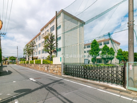���ӊ� ���w�Z 260m �����q�s���掵���w�Z
