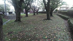 ���ӊ� ���� 170m �V�J������