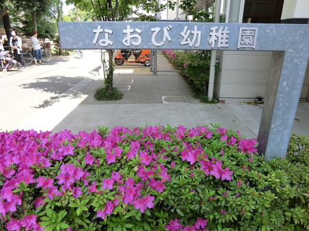 ���ӊ� �c�t���E�ۈ牀 500m �Ȃ��їc�t��
