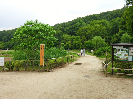 ���ӊ� ���� 800m �k�R����