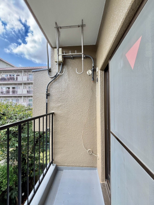 �o���R�j�[ �S�n�悢���������Ȃ��炨���󕨂����������ł��@