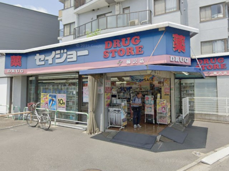 ���ӊ� �h���b�O�X�g�A 300m �Z�C�W���[����X