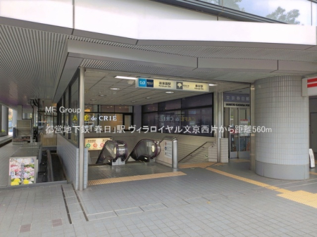 ���ӊ� �w 560m �s�c�n���S�u�t���v�w