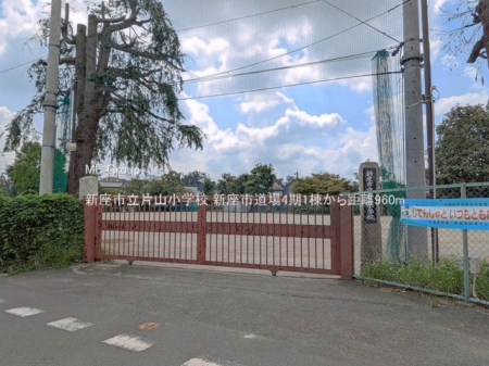 ���ӊ� ���w�Z 960m �V���s���ЎR���w�Z