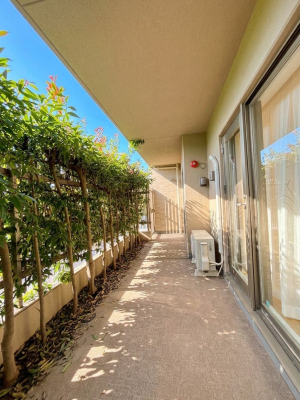 �o���R�j�[ �S�n�悢���������Ȃ��炨���󕨂����������ł�