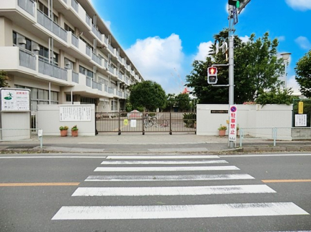 ���ӊ� ���w�Z 300m �����s�������掵���w�Z