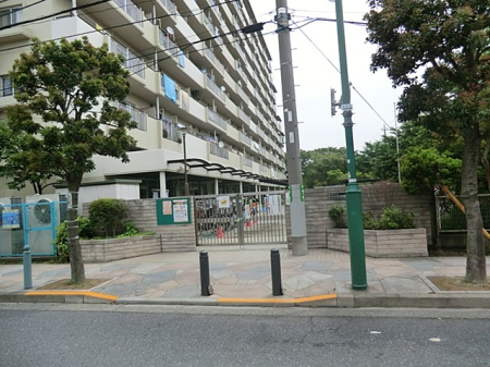 ���ӊ� �c�t���E�ۈ牀 800m �����旧�|�̒˕ۈ牀