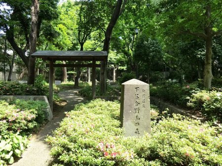 ���ӊ� ���� 500m �������쒹�̐X����