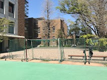 ���ӊ� ���� 600m ���炫���L��