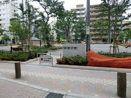 ���ӊ� ���� 81m �k�旧���c����