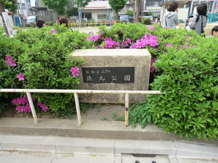 ���ӊ� ���� 300m ���旧���ی���