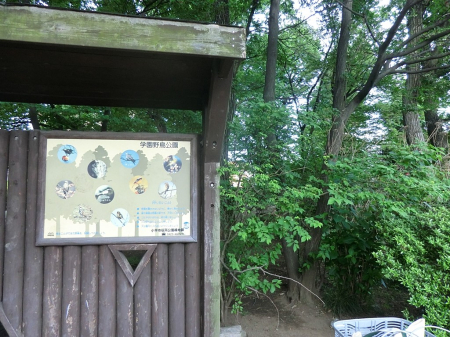 ���ӊ� ���� 100m �w���쒹����