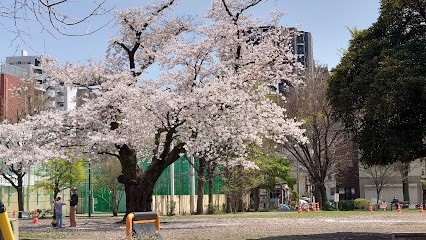 ���ӊ� ���� 300m �k�旧��J�[����