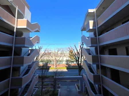 ̑ Sn悢ꂻȒ]ł